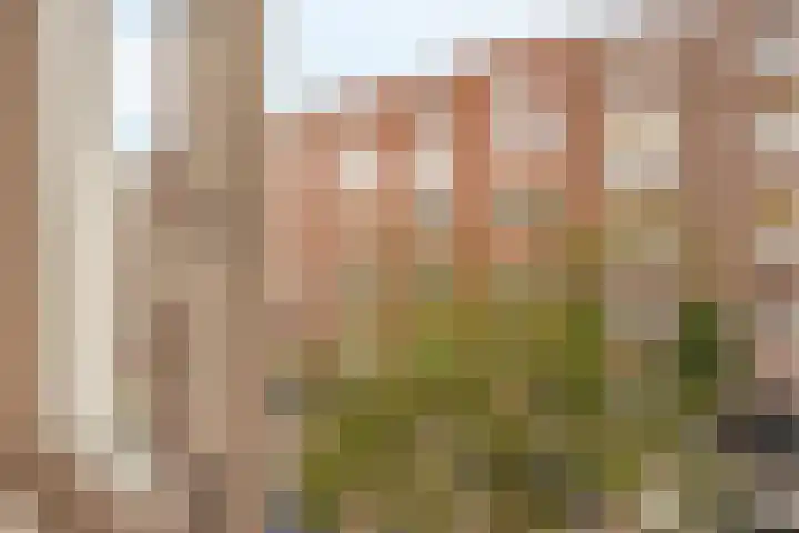 Reinier Claeszenstraat 42 3 Amsterdam thumbnail 16
