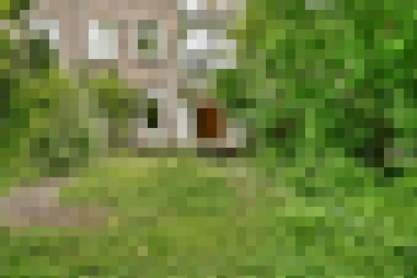 Reinier Claeszenstraat 45 3 Amsterdam thumbnail 12