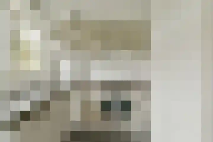 Reinier Claeszenstraat 48 H Amsterdam thumbnail 10