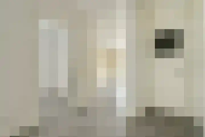 Reinier Claeszenstraat 48 H Amsterdam thumbnail 23