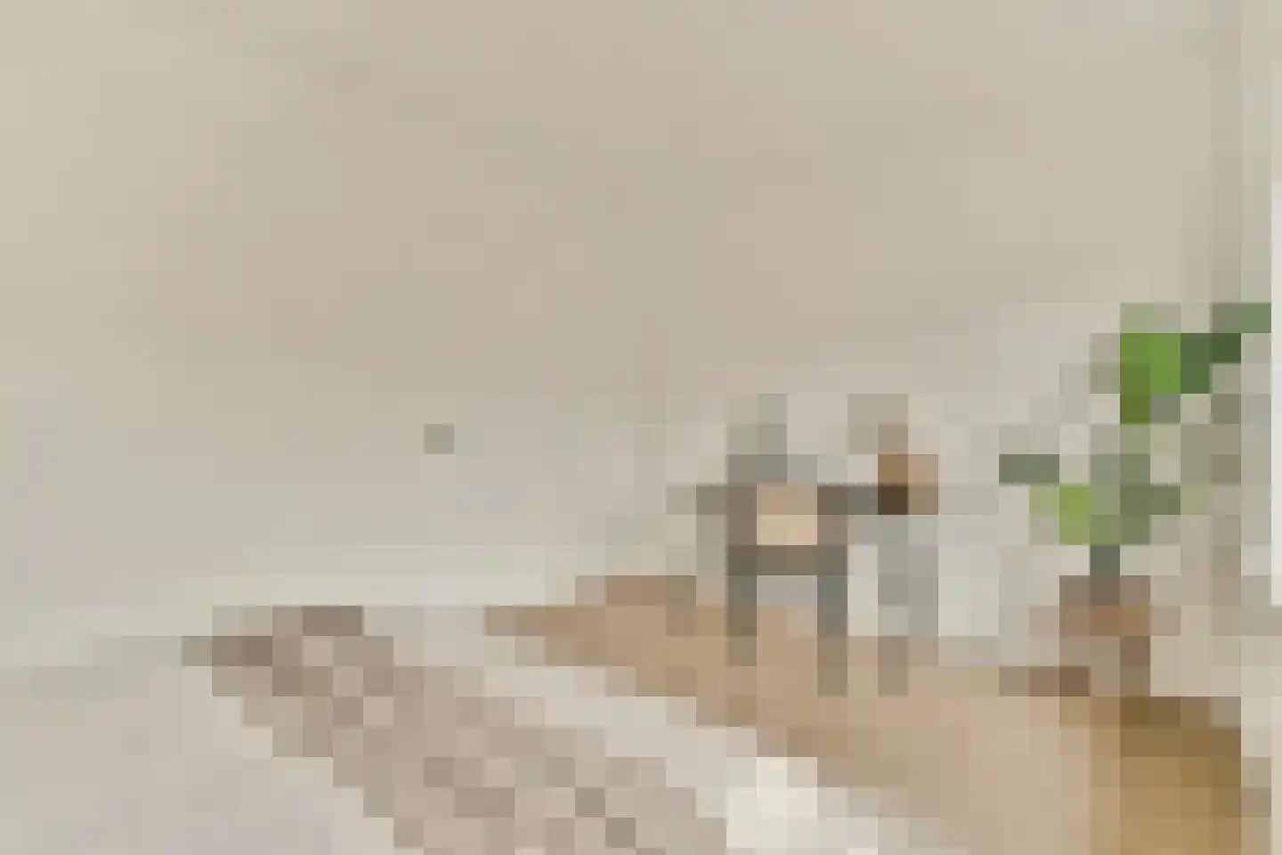 Reinier Claeszenstraat 51 2 Amsterdam thumbnail 23