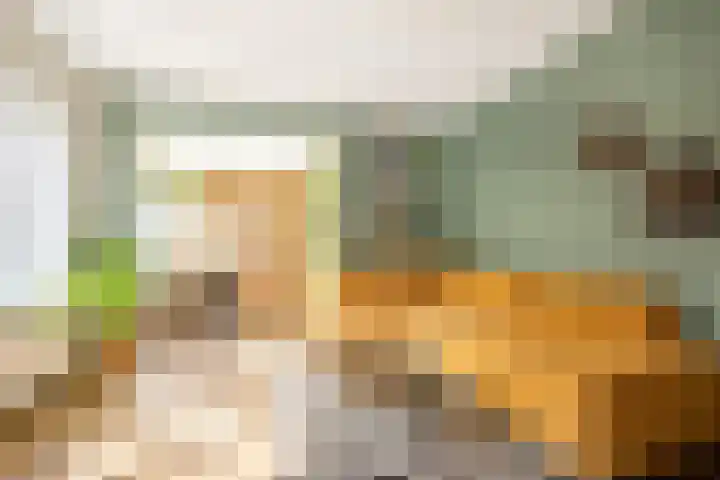 Reinier Claeszenstraat 6 2 Amsterdam thumbnail 10