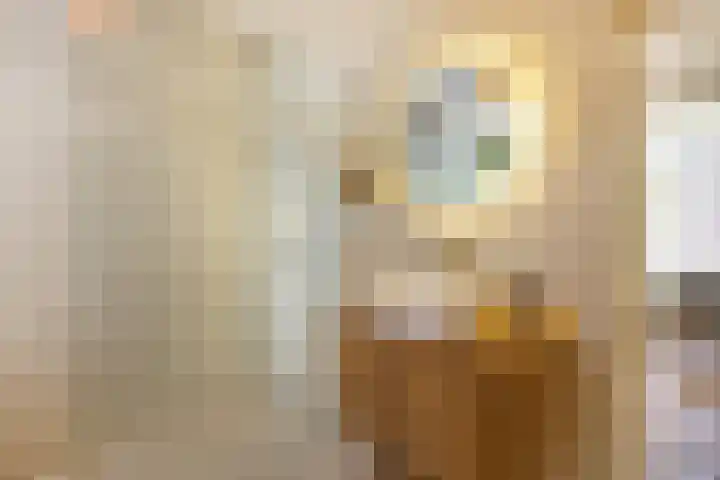 Reinier Claeszenstraat 6 2 Amsterdam thumbnail 14