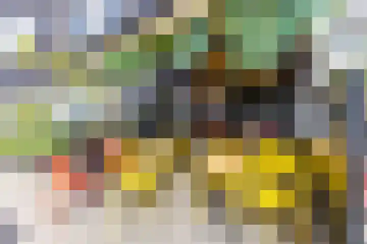 Reinier Claeszenstraat 6 2 Amsterdam thumbnail 19