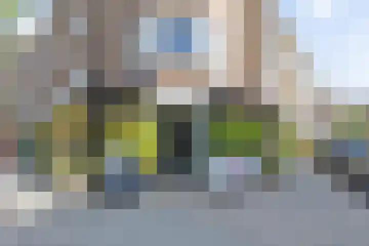 Reinier Claeszenstraat 6 2 Amsterdam thumbnail 20