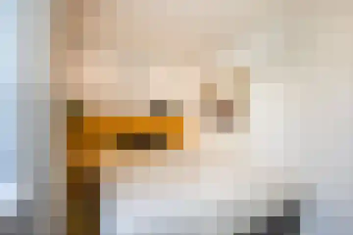 Reinier Claeszenstraat 6 2 Amsterdam thumbnail 4