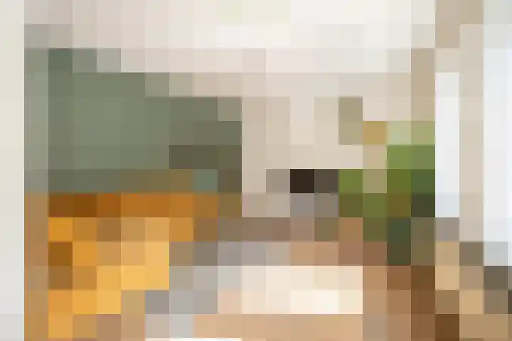 Reinier Claeszenstraat 6 2 Amsterdam thumbnail 9