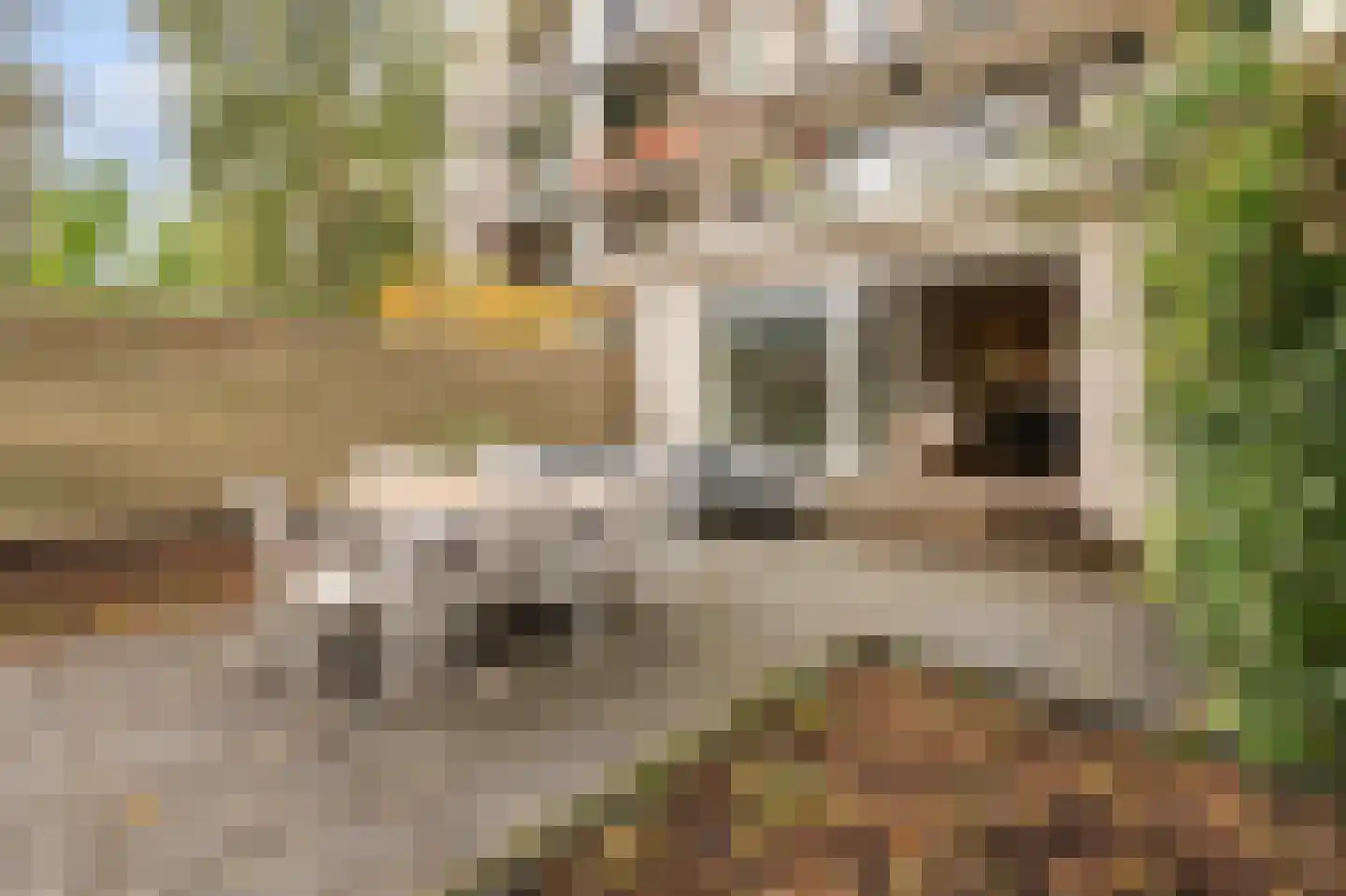 Reinier Claeszenstraat 68 1 Amsterdam thumbnail 17