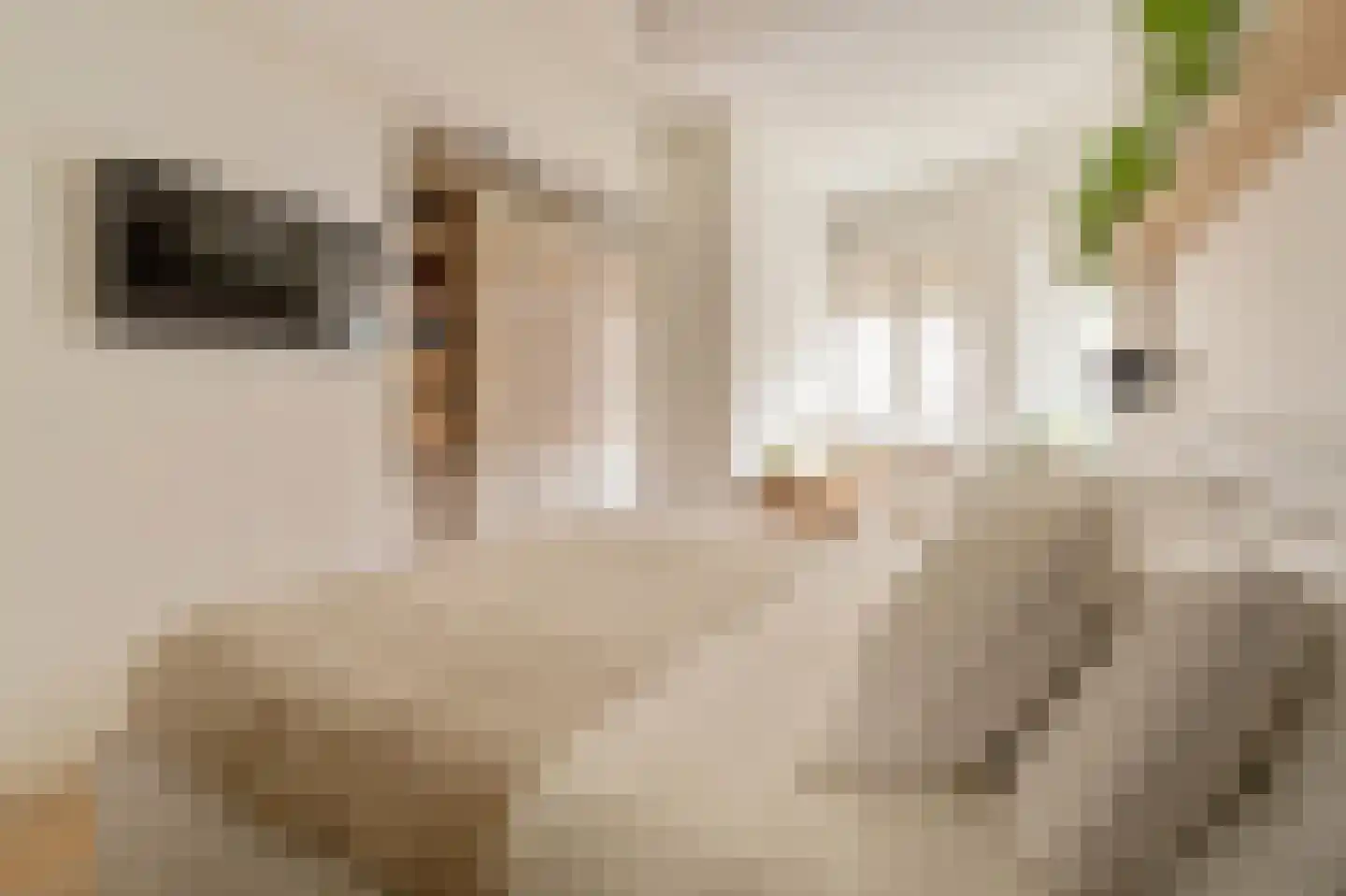 Reinier Claeszenstraat 68 1 Amsterdam thumbnail 19