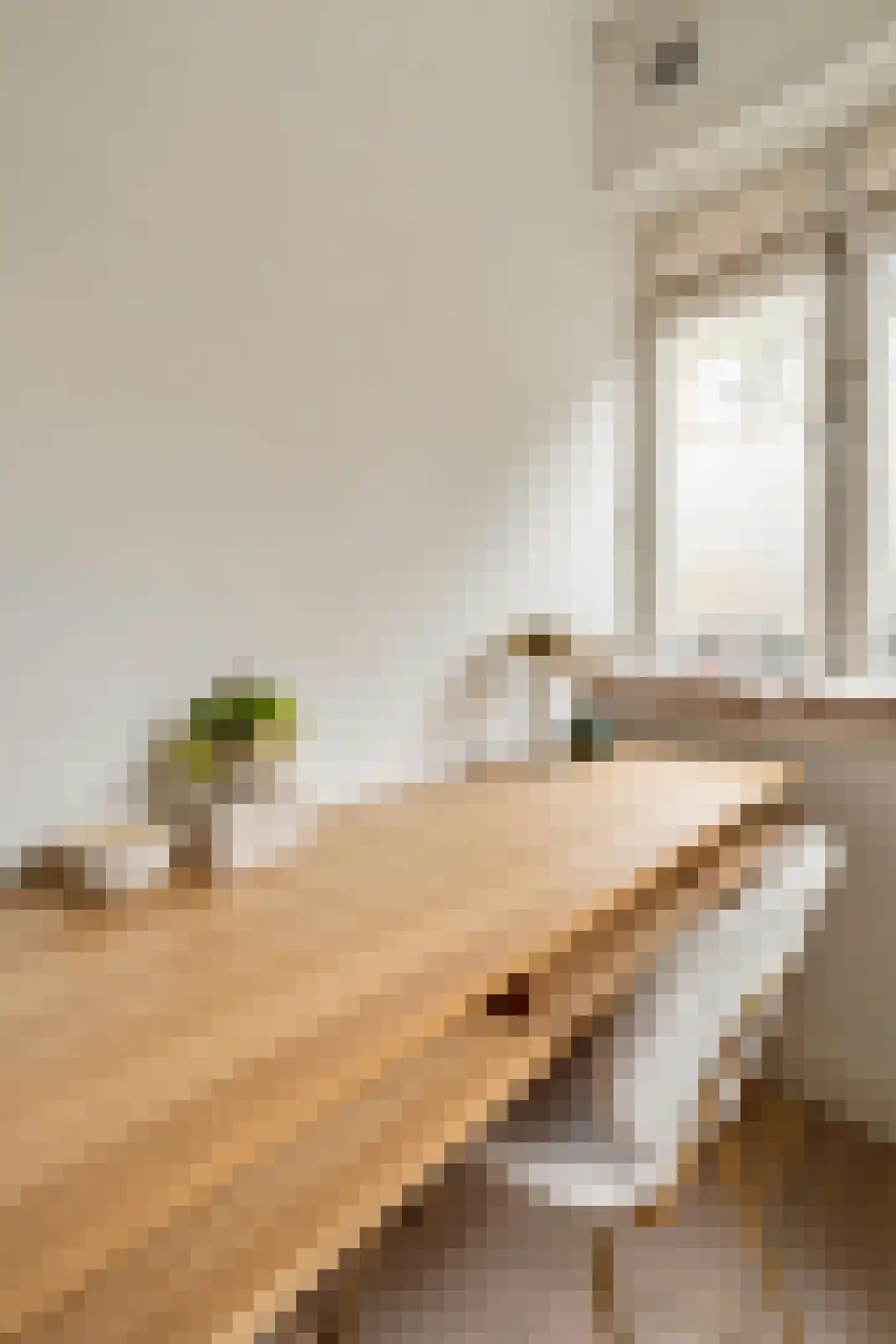 Reinier Claeszenstraat 68 1 Amsterdam thumbnail 21