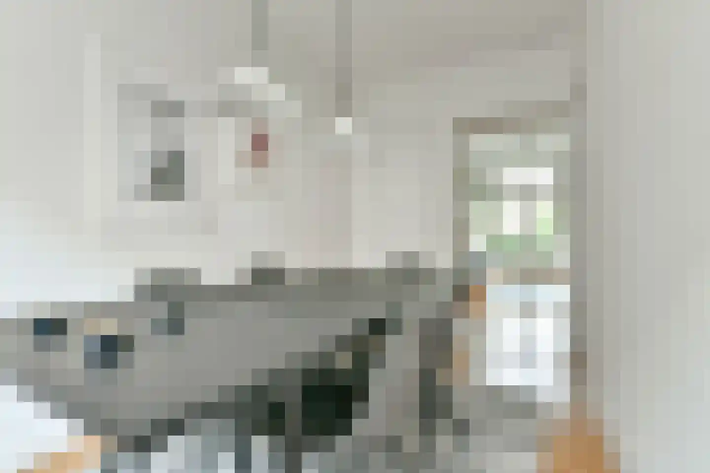 Reinier Claeszenstraat 80 1 Amsterdam thumbnail 10