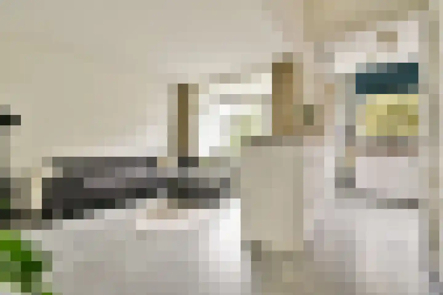 Reinier Claeszenstraat 84 1 Amsterdam thumbnail 8
