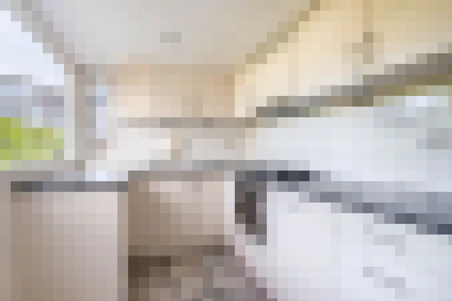 Reinier de Graafstraat 18 Schoonhoven thumbnail 16