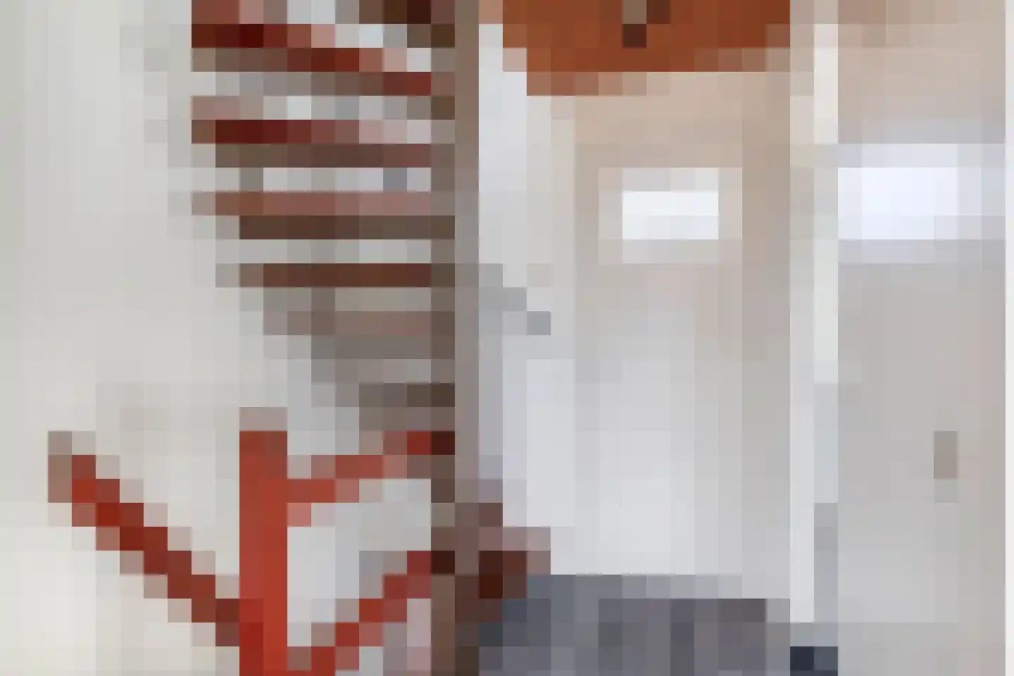 Reinier de Graafstraat 18 Schoonhoven thumbnail 21