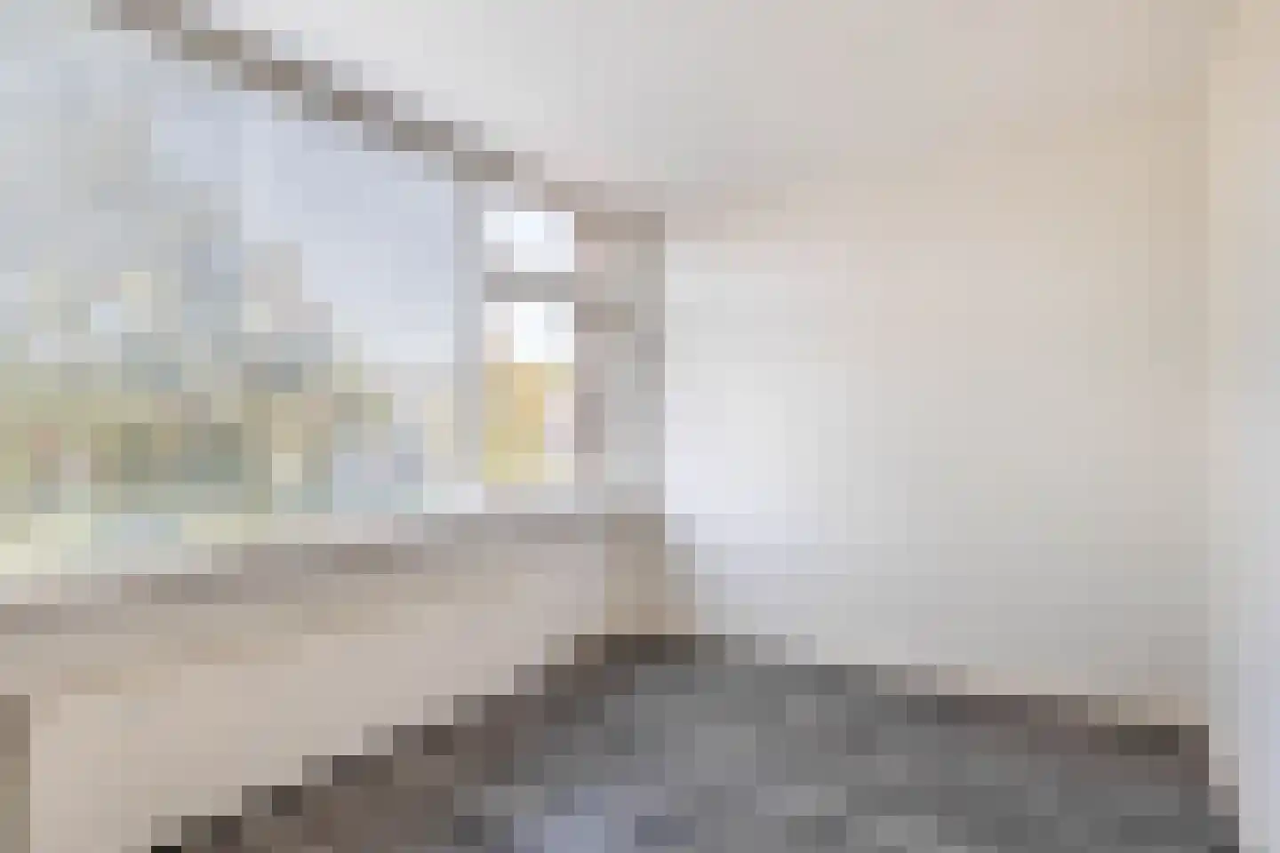 Reinier de Graafstraat 18 Schoonhoven thumbnail 22