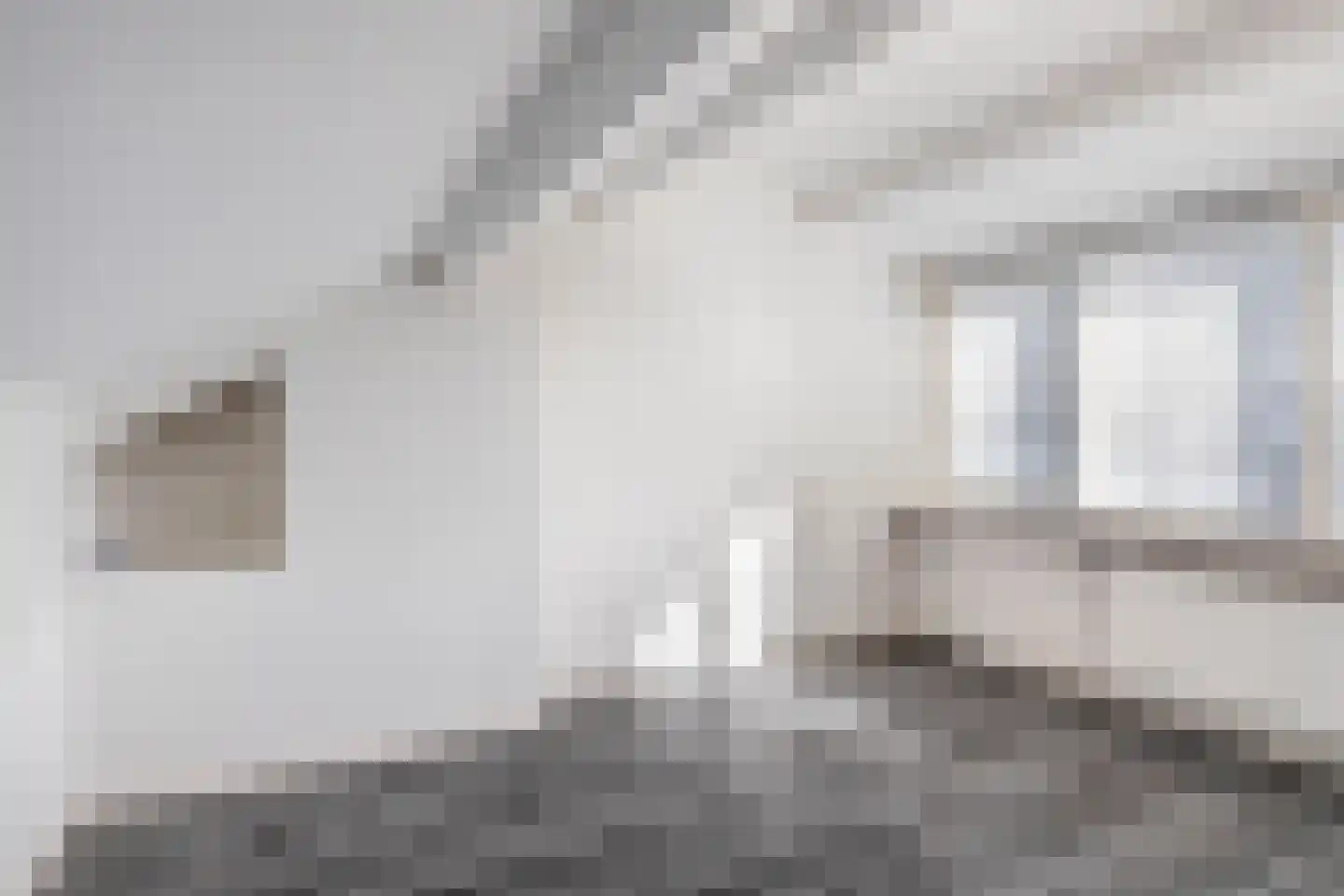 Reinier de Graafstraat 18 Schoonhoven thumbnail 31