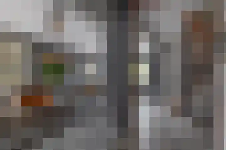 Reinier de Graafstraat 5 Schoonhoven thumbnail 13