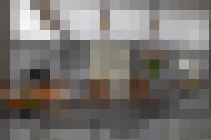 Reinier de Graafstraat 5 Schoonhoven thumbnail 14