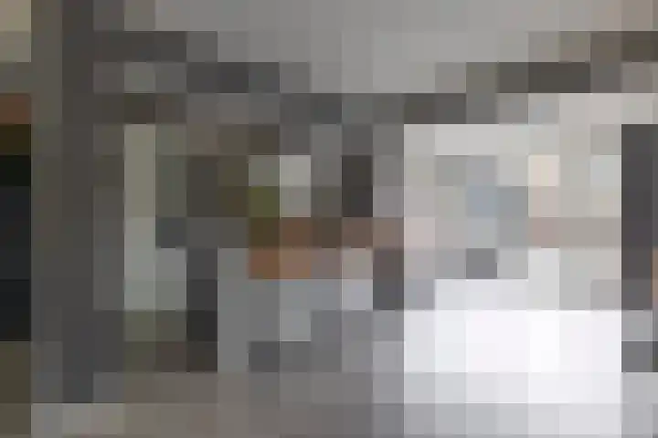 Reinier de Graafstraat 5 Schoonhoven thumbnail 15