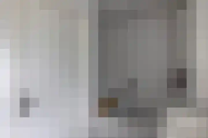 Reinier de Graafstraat 5 Schoonhoven thumbnail 23