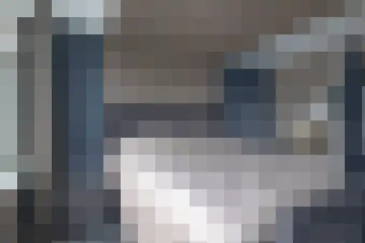 Reinier de Graafstraat 5 Schoonhoven thumbnail 26