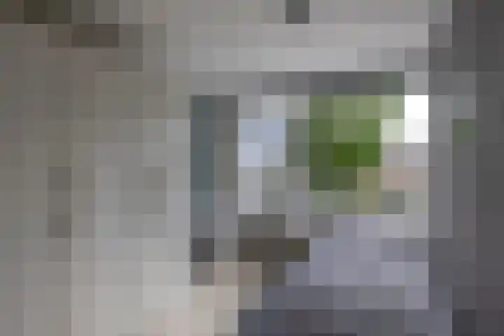 Reinier de Graafstraat 5 Schoonhoven thumbnail 27
