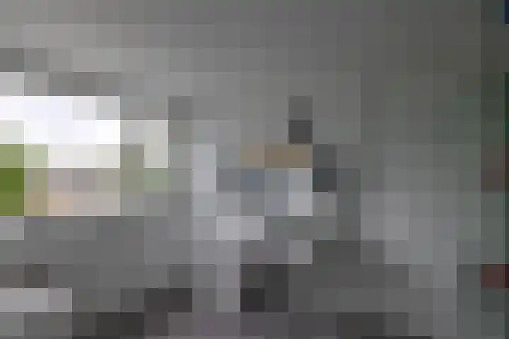 Reinier de Graafstraat 5 Schoonhoven thumbnail 31