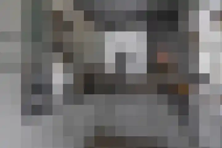 Reinier de Graafstraat 5 Schoonhoven thumbnail 4