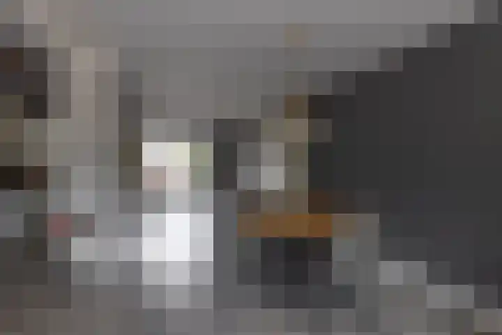 Reinier de Graafstraat 5 Schoonhoven thumbnail 9