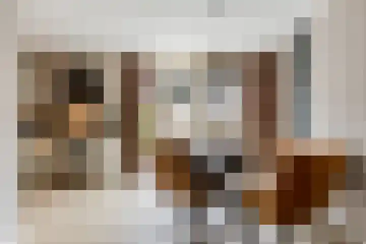 Reinier de Graafstraat 8 Schoonhoven thumbnail 15