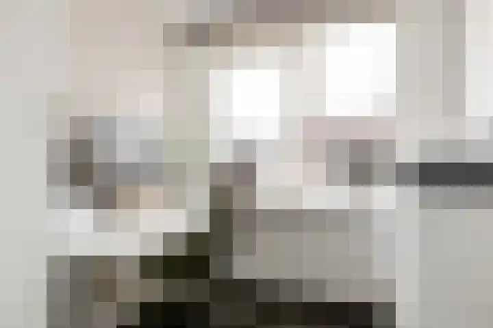 Reinier de Graafstraat 8 Schoonhoven thumbnail 23
