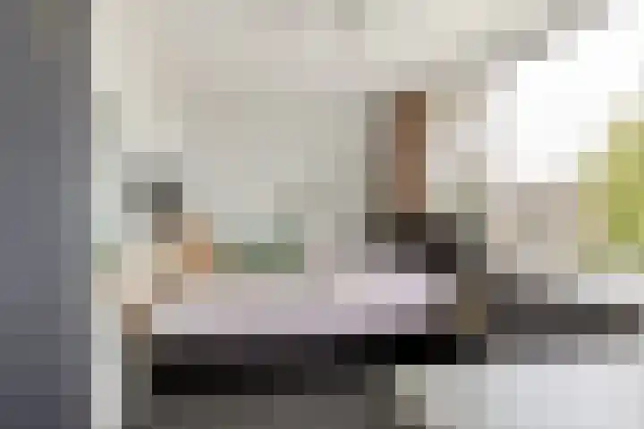 Reinier de Graafstraat 8 Schoonhoven thumbnail 26