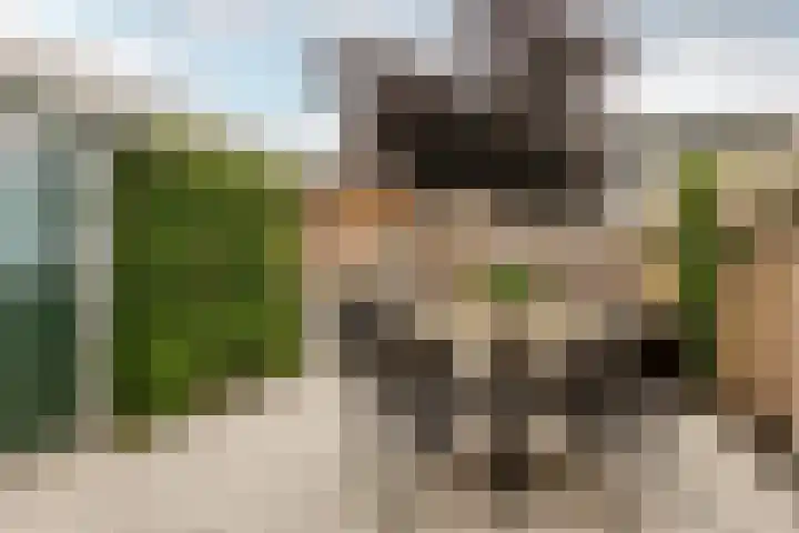 Reinier de Graafstraat 8 Schoonhoven thumbnail 38