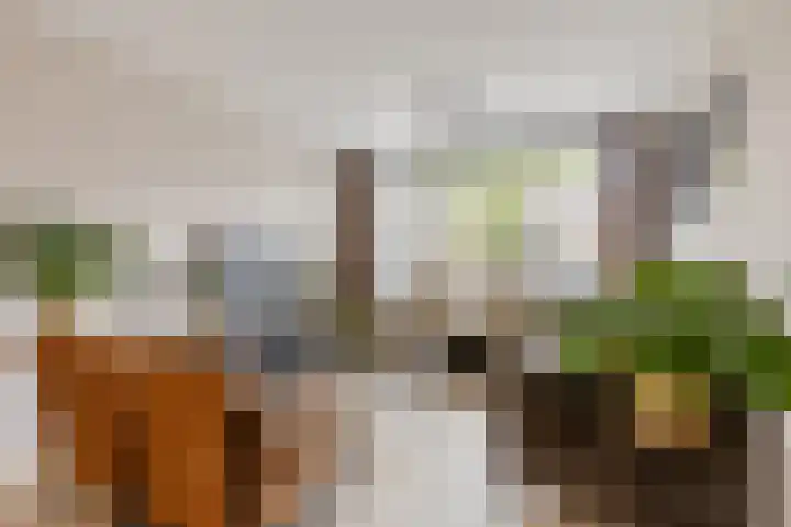 Reinier de Graafstraat 8 Schoonhoven thumbnail 4