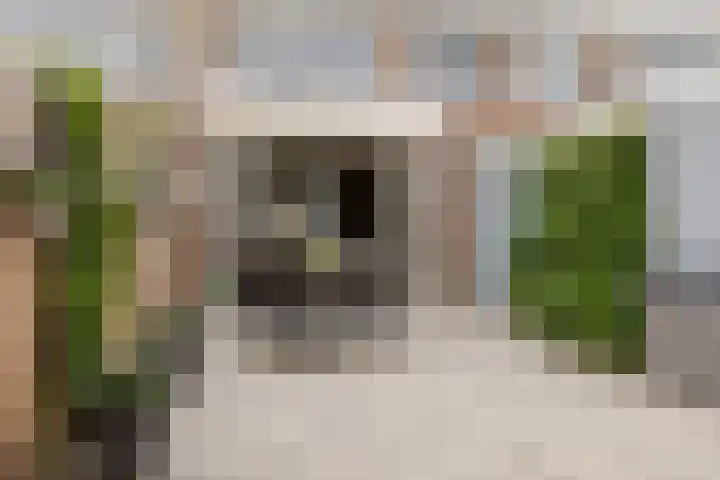 Reinier de Graafstraat 8 Schoonhoven thumbnail 43