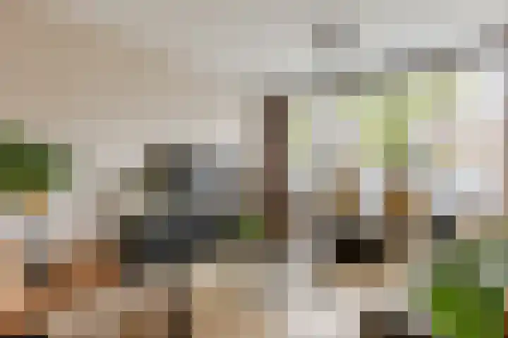 Reinier de Graafstraat 8 Schoonhoven thumbnail 5