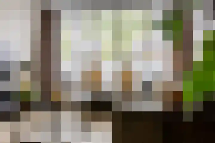 Reinier de Graafstraat 8 Schoonhoven thumbnail 6
