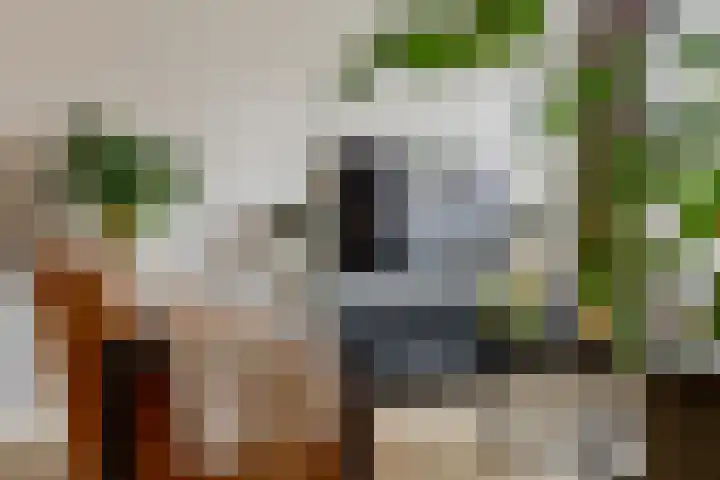 Reinier de Graafstraat 8 Schoonhoven thumbnail 7