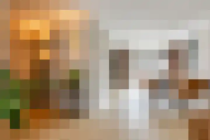 Reinier de Graafstraat 8 Schoonhoven thumbnail 9