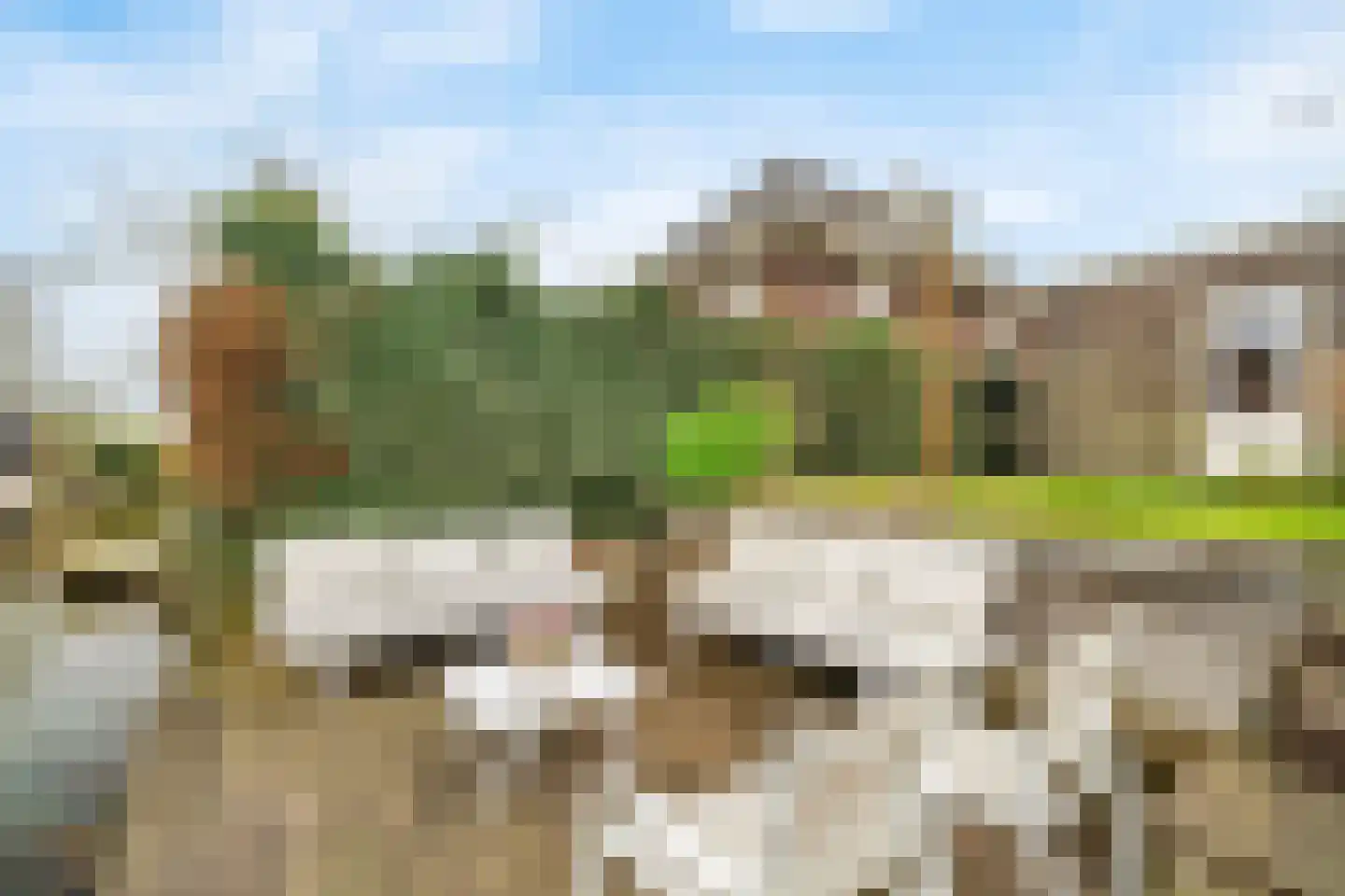 Reinier Roeststraat 5 Leusden thumbnail 33