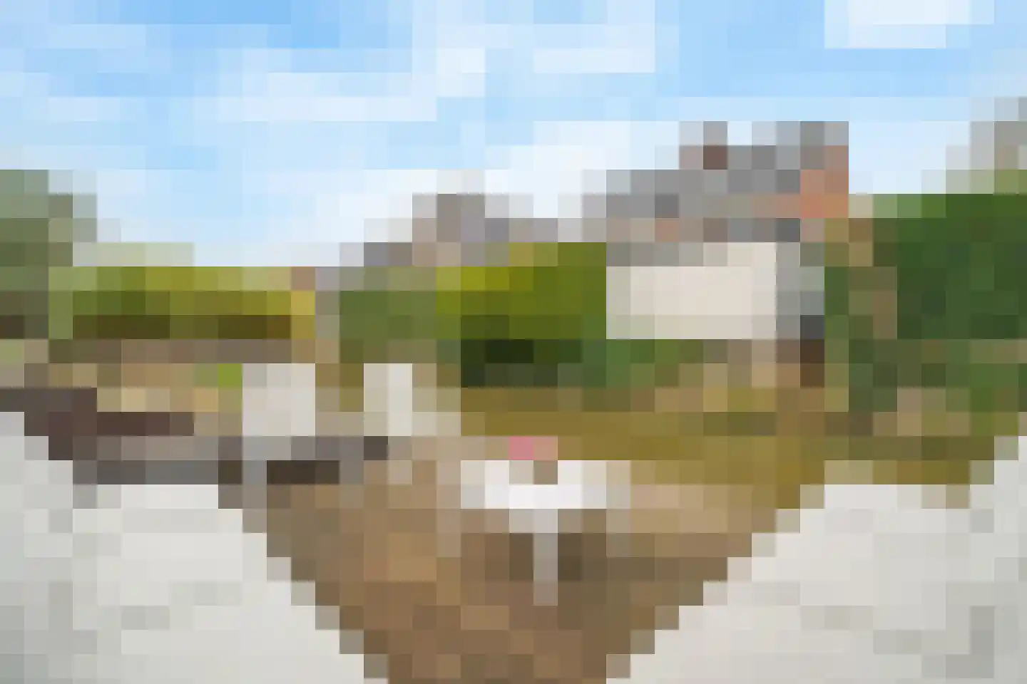 Reinier Roeststraat 5 Leusden thumbnail 34
