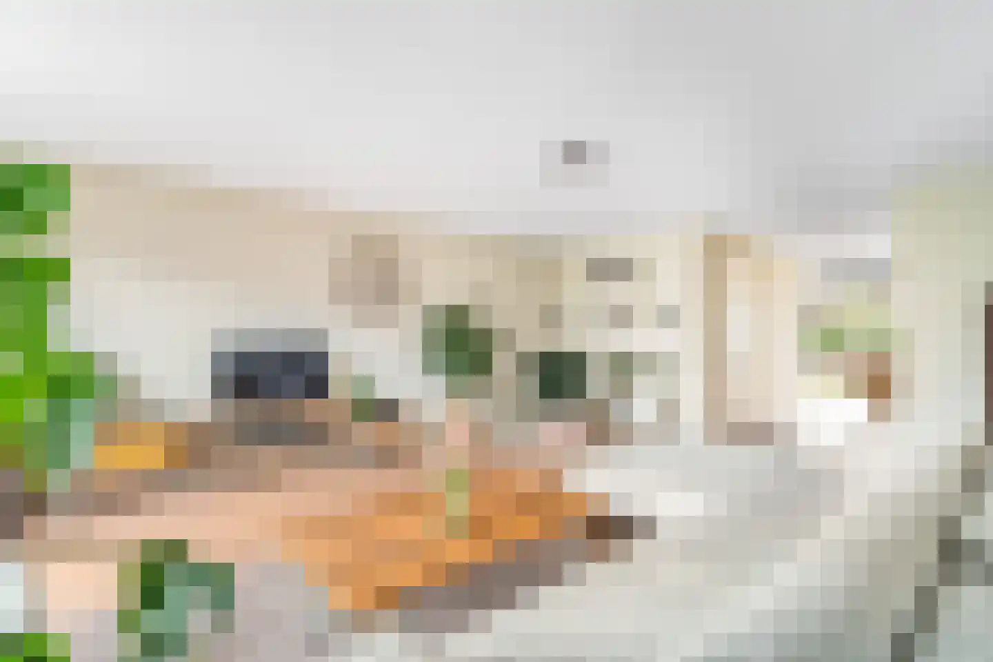 Reinier Roeststraat 5 Leusden thumbnail 4