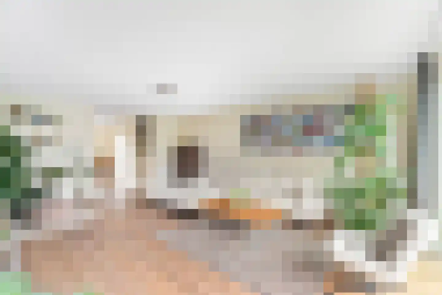 Reinier Roeststraat 5 Leusden thumbnail 6
