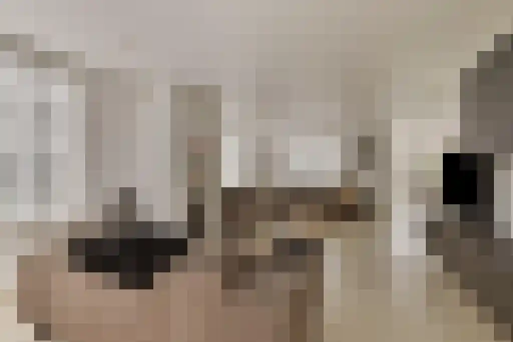 Reinier Rondhorstdijk 42 Rotterdam thumbnail 12