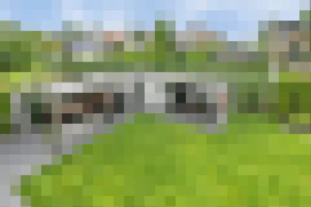 Reinier Rondhorstdijk 42 Rotterdam thumbnail 35