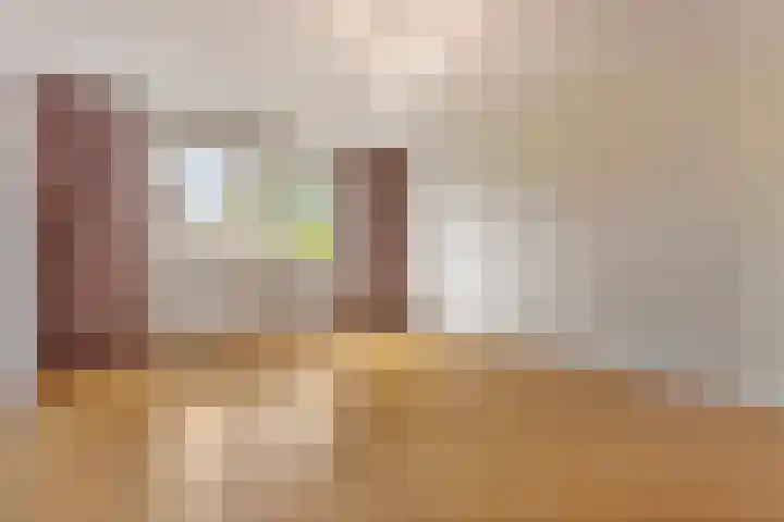 Reinier van Holylaan 25 Heemstede thumbnail 24