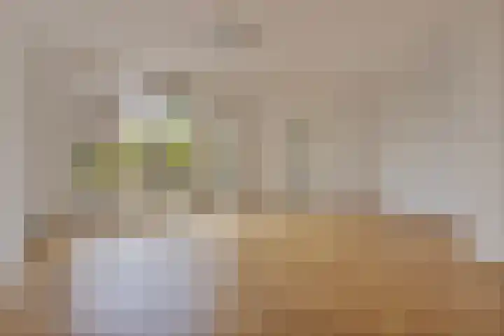 Reinier van Holylaan 25 Heemstede thumbnail 7