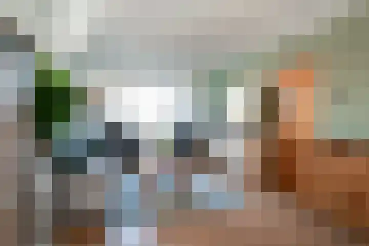 Reinierastraat 6 Zevenaar thumbnail 12
