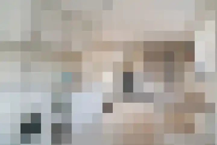 Reinierastraat 6 Zevenaar thumbnail 21