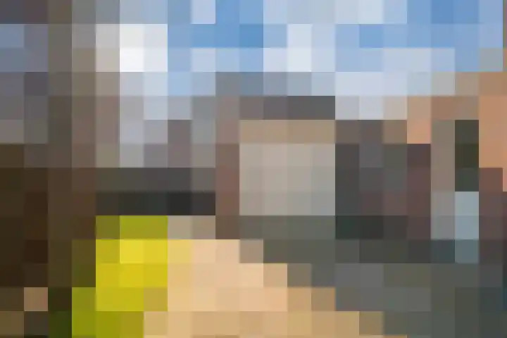 Reinierastraat 6 Zevenaar thumbnail 22